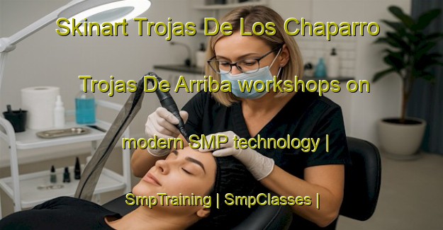 Skinart Trojas De Los Chaparro  Trojas De Arriba workshops on modern SMP technology | SmpTraining | SmpClasses | SkinartTraining-Mexico